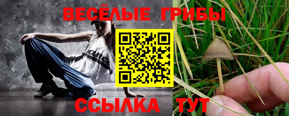 купить закладку  Псилоцибиновые грибы прущие грибы  Вход с VPN  Грязи 