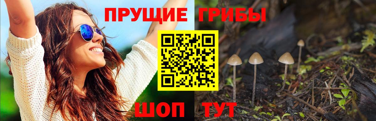 Галлюциногенные грибы Magic Shrooms Грязи