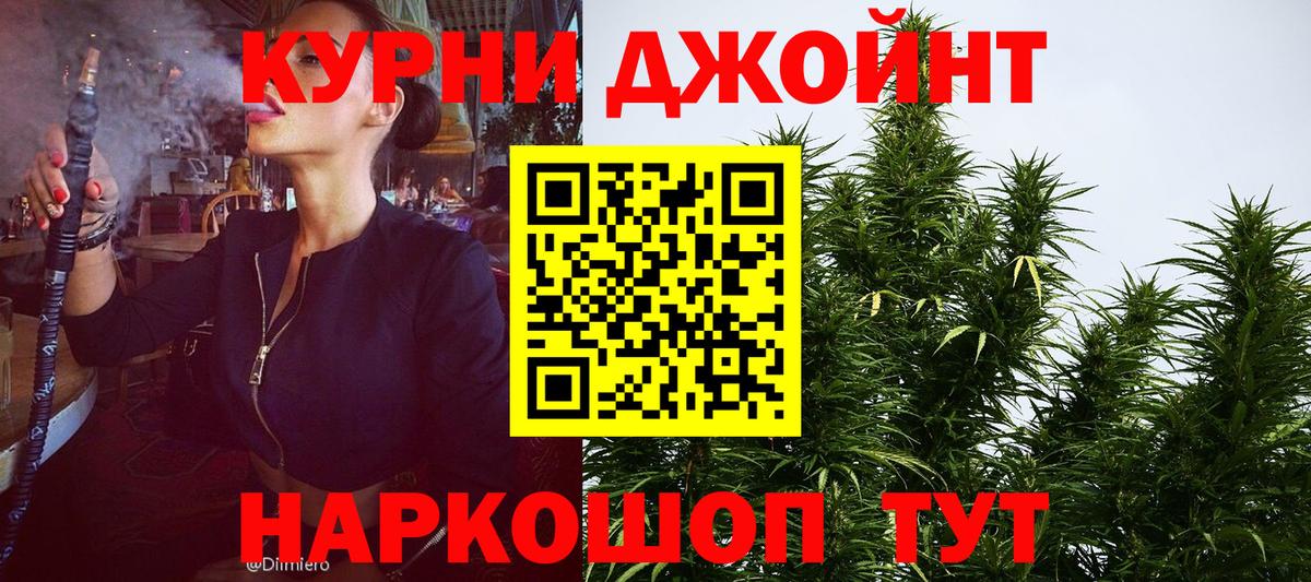 Каннабис гибрид  Каннабис ГИДРОПОН  Вход с VPN  Грязи  Бошки марихуана OG Kush 